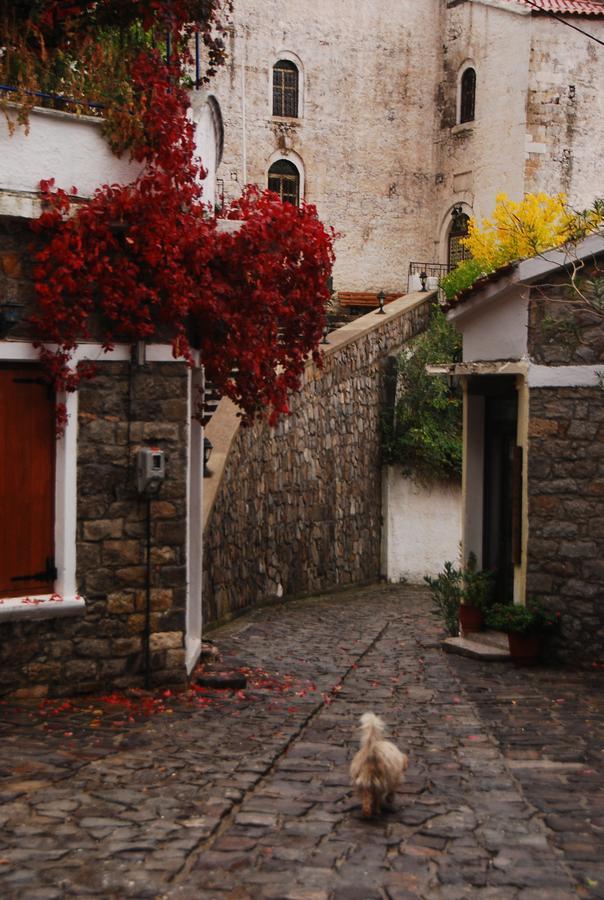 Villa Aleka Σαμοθράκη Εξωτερικό φωτογραφία